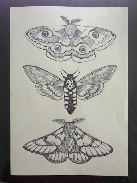 Untitled Untitled